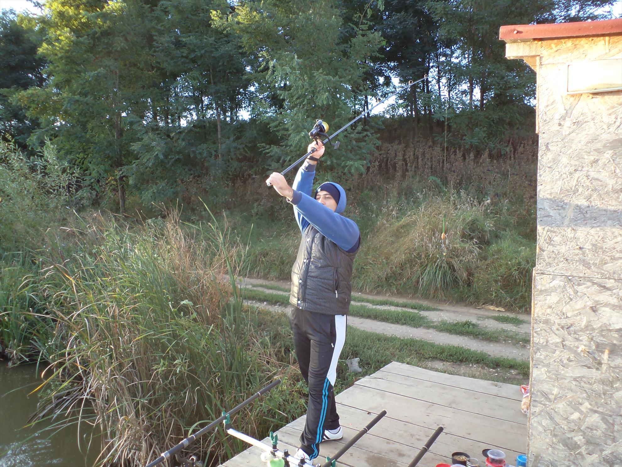 Testarea noilor bete - dsc01576.JPG